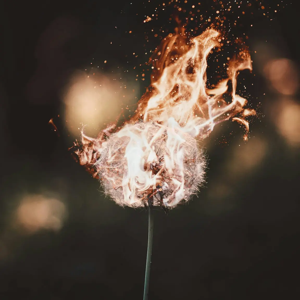 Pochette de l'EP Ignition de Black Pepper